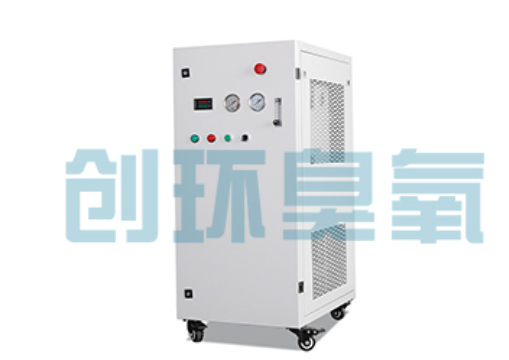 湖南石斑鱼养殖水质调控完整指南：臭氧发生器配置与操作步骤