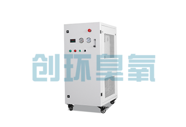 湖南2026年石斑鱼养殖新趋势：为什么高密度循环水必须配备臭氧发生器？
