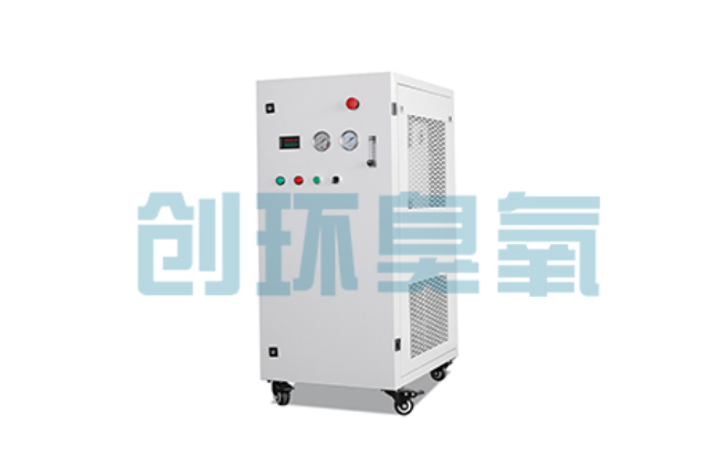 湖南比传统换水更高效？臭氧发生器在石斑鱼养殖中的水质净化原理解析
