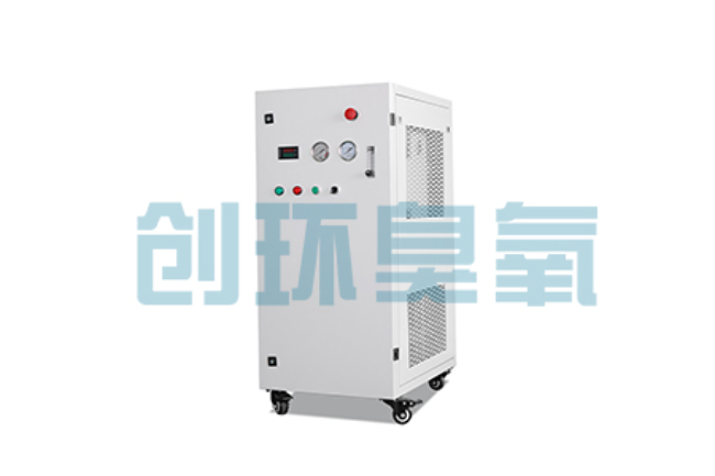 湖南比传统换水更高效？臭氧发生器在石斑鱼养殖中的水质净化原理解析